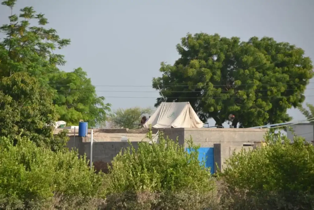 Temporary shelters provide essential housing for displaced Muzaffargarh flood victims.