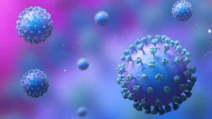 pakistan-introduces-new-requirement-for-incoming-passengers-after-nipah-virus-outbreak-in-india