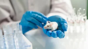 scientists-successfully-eliminate-pancreatic-cancer-in-mice-for-the-first-time