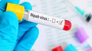 common-symptoms-of-nipah-virus-you-should-know