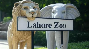 lahore-zoo-to-launch-night-time-visits-and-shows