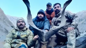 us-citizen-hunts-rare-markhor-for-270000-in-chitral