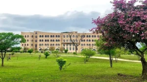 aiou-simplifies-degree-and-certificate-issuance-process