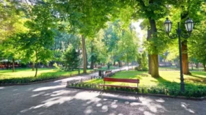 punjab-to-expand-adopt-a-park-scheme-to-other-cities