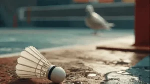 international-players-furious-with-constant-bird-poop-disruptions-during-india-open