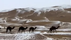 pakistans-famous-desert-experiences-snowfall-after-20-years