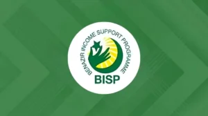 govt-to-link-power-subsidies-with-bisp-under-major-reform-plan