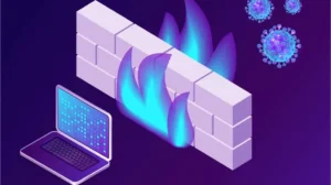 confusion-grows-as-ministries-remain-silent-on-pakistans-social-media-firewall-status