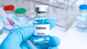 karachi-reports-more-rabies-fatalities-as-dog-bite-cases-surge