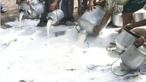 8000-litres-of-fake-milk-destroyed-by-food-authorities-in-islamabad