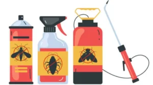 five-children-die-after-drinking-water-from-empty-pesticide-bottle