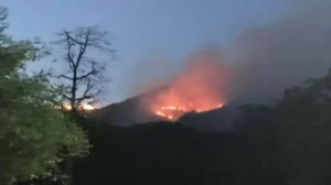 fire-in-margalla-hills-brought-under-control-after-overnight-operation