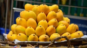 fbr-fixes-minimum-export-value-for-all-types-of-mango-pulp