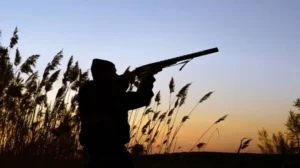 date-announced-for-start-of-hunting-season-in-kp