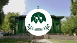 balochistan-to-launch-health-insurance-scheme-for-govt-employees