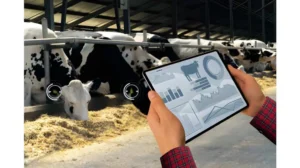 china-pakistan-sign-new-deals-to-boost-livestock-agri-tech-cooperation-under-cpec-2-0