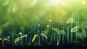 pakistans-agricultural-credit-hits-rs-1-41-trillion-in-first-half-of-fy