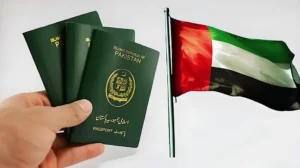 pakistani-ambassador-clarifies-reports-of-uae-transit-visa-suspension