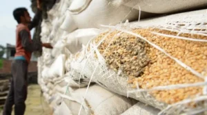 ihc-bans-use-of-substandard-sacks-for-food-packaging