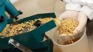 karachi-students-win-award-for-turning-food-waste-into-animal-feed