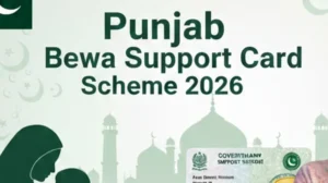 punjab-launches-widow-support-card-scheme