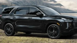 hyundai-palisade-spotted-in-pakistan-before-launch