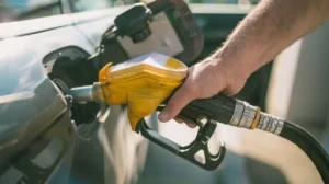 govt-plans-digital-app-to-allocate-petrol-and-diesel-quotas