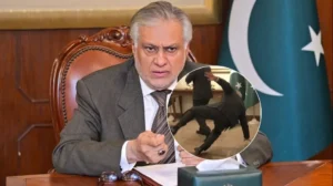 deputy-pm-ishaq-dar-has-an-accident-while-welcoming-egyptian-foreign-minister