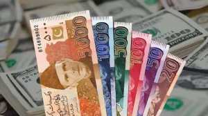 sindh-govt-announces-early-march-salaries-for-employees