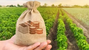 punjabs-agricultural-tax-notification-declared-unlawful