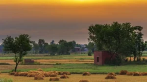 villages-in-rawalpindi-area-are-getting-major-islamabad-sector-like-upgrades