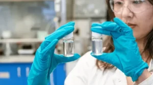 scientists-discover-plant-that-makes-microplastic-filled-water-totally-drinkable