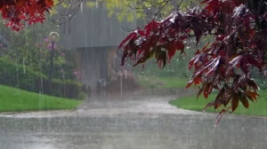 monsoon-season-starting-date-predicted