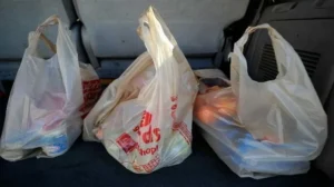 punjab-to-ban-thin-plastic-bags