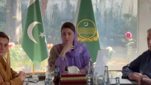 maryam-nawaz-approves-24-new-stroke-centers-in-punjab