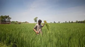 sindh-farmers-urge-govt-to-increase-subsidy