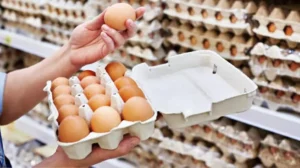 secp-clears-wahdat-poultry-farm-ipo-as-psx-sees-8th-listing-this-fiscal-year