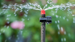 pakistan-to-face-15-water-shortfall-in-early-kharif-crop-season