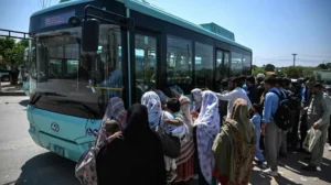 punjab-finalizes-plan-for-free-bus-service