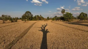 pmd-forecasts-dry-weather-with-isolated-rain-in-northern-areas