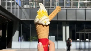 xiaomi-launches-ice-cream-with-standard-pro-and-max-versions