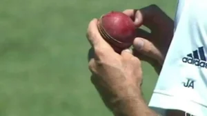 england-batter-calls-for-legal-ball-tampering-in-t20-cricket