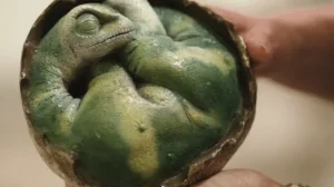 250-million-year-old-embryo-found-perfectly-preserved-inside-african-dinosaur-egg
