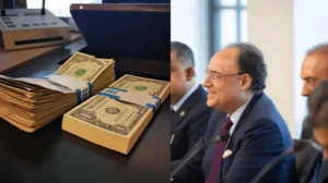 economic-stability-tied-to-remittances-finance-minister-admits-indirectly