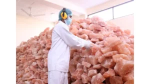 international-buyers-reject-pakistani-salt-exports-over-poor-packaging