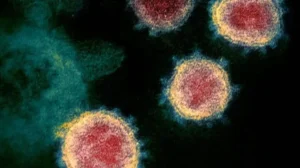 new-highly-mutated-covid-19-variant-spreads-across-24-countries