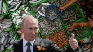 russia-opens-its-3-billion-seafood-market-to-pakistan