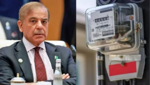 pm-shehbaz-wishes-to-make-electricity-cheaper-and-end-power-theft