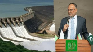 ahsan-iqbal-blames-wapda-for-taking-years-to-revise-costs-of-mega-dam-projects