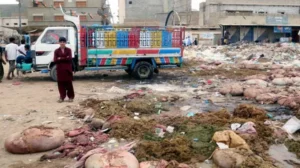 rawalpindi-waste-management-launches-massive-eid-waste-collection-operation